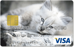 visacard-motivkarte-payango