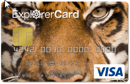visacard-tiger-wunschdesign